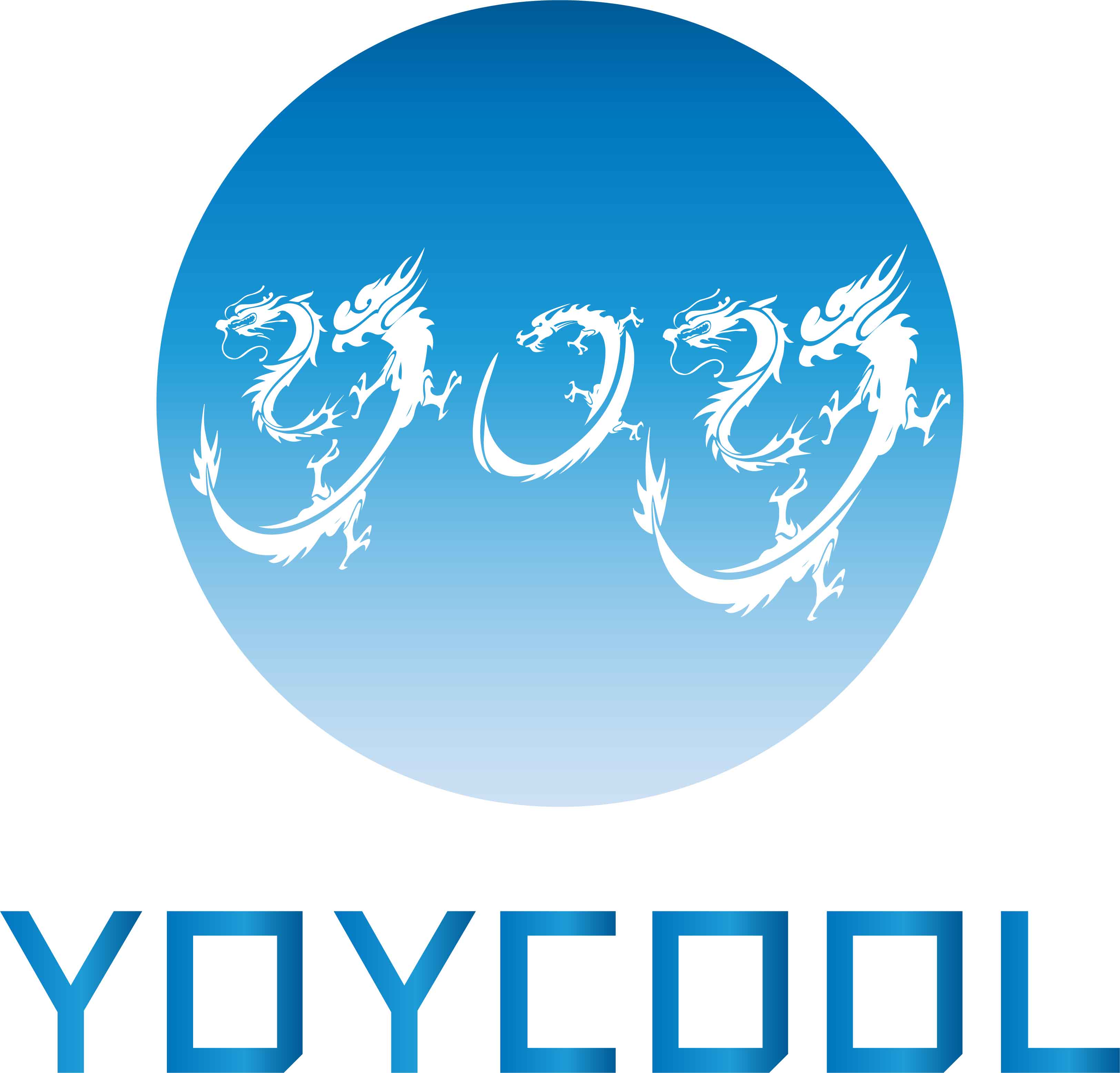 YOYCOOL Company Production Line 